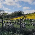 Casa Indipendente Mitucasa *